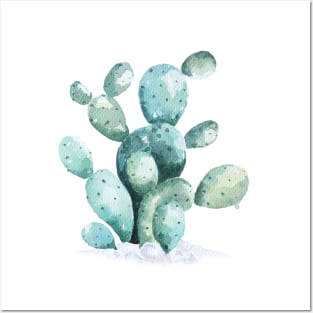 cactus painted with watercolors Posters and Art